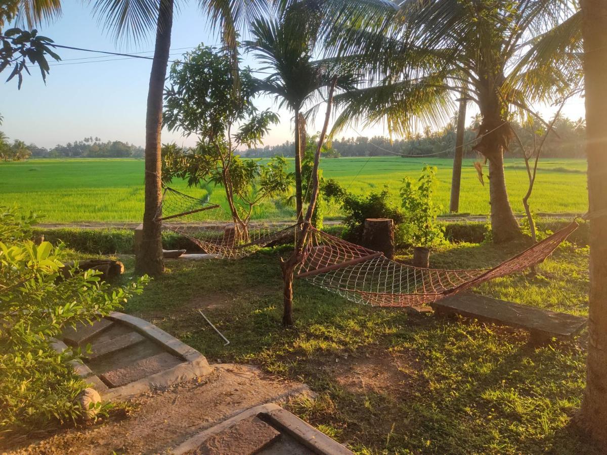 Village Mango Resort Yala Тіссамахарама Екстер'єр фото