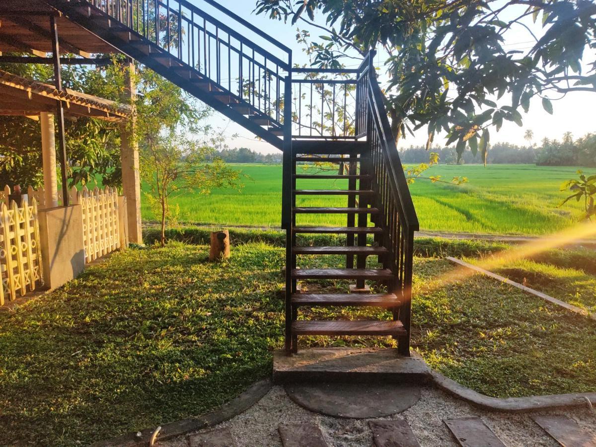 Village Mango Resort Yala Тіссамахарама Екстер'єр фото
