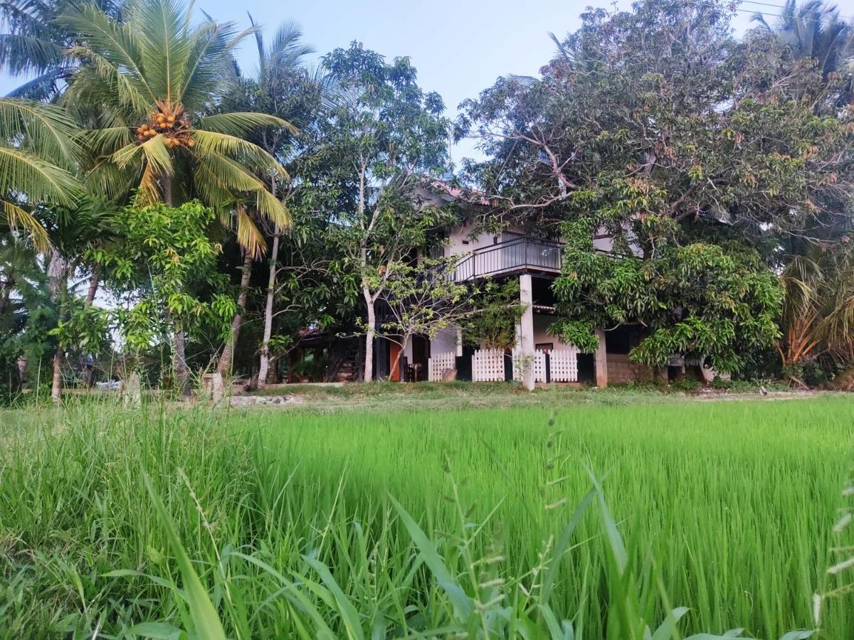 Village Mango Resort Yala Тіссамахарама Екстер'єр фото