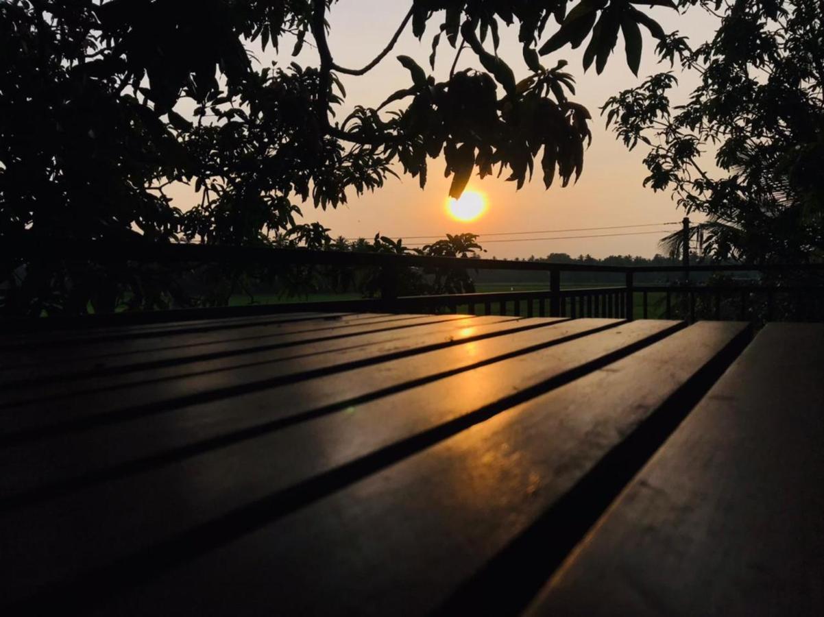 Village Mango Resort Yala Тіссамахарама Екстер'єр фото