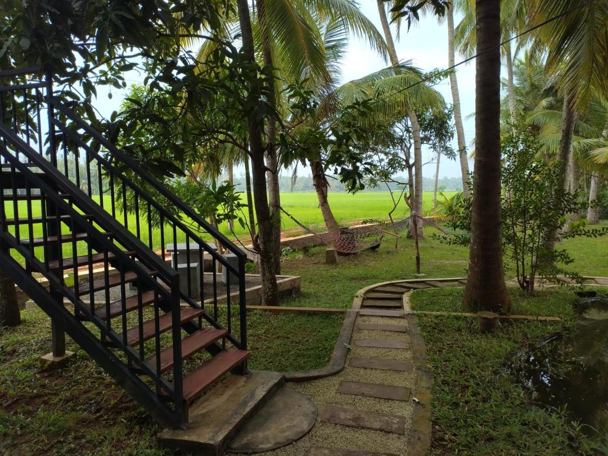 Village Mango Resort Yala Тіссамахарама Екстер'єр фото