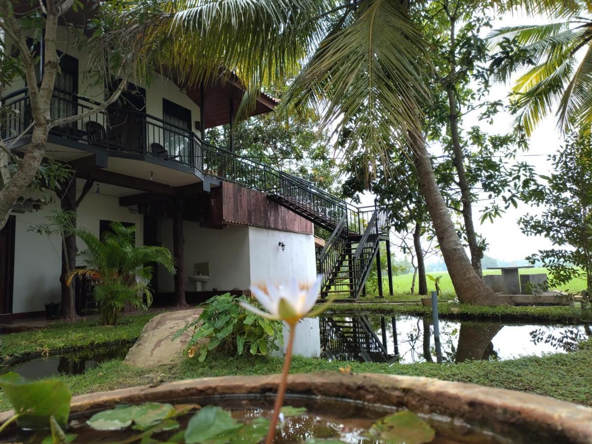 Village Mango Resort Yala Тіссамахарама Екстер'єр фото