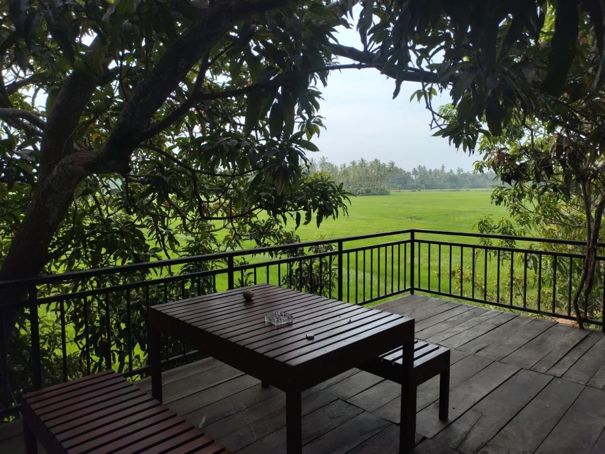 Village Mango Resort Yala Тіссамахарама Екстер'єр фото