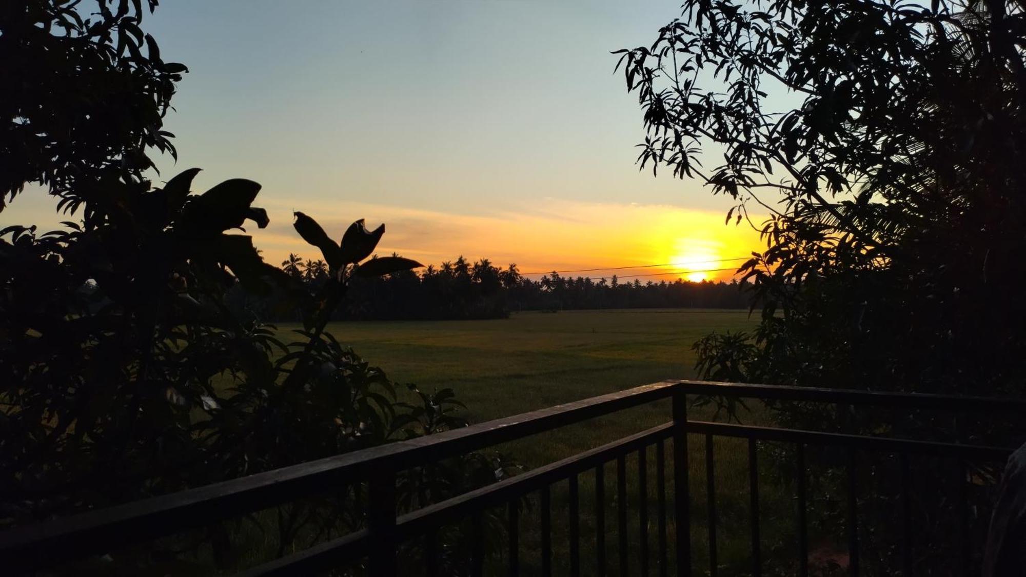 Village Mango Resort Yala Тіссамахарама Екстер'єр фото